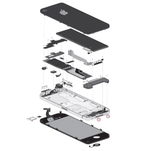 iPhone 4/4S Bottom Screws